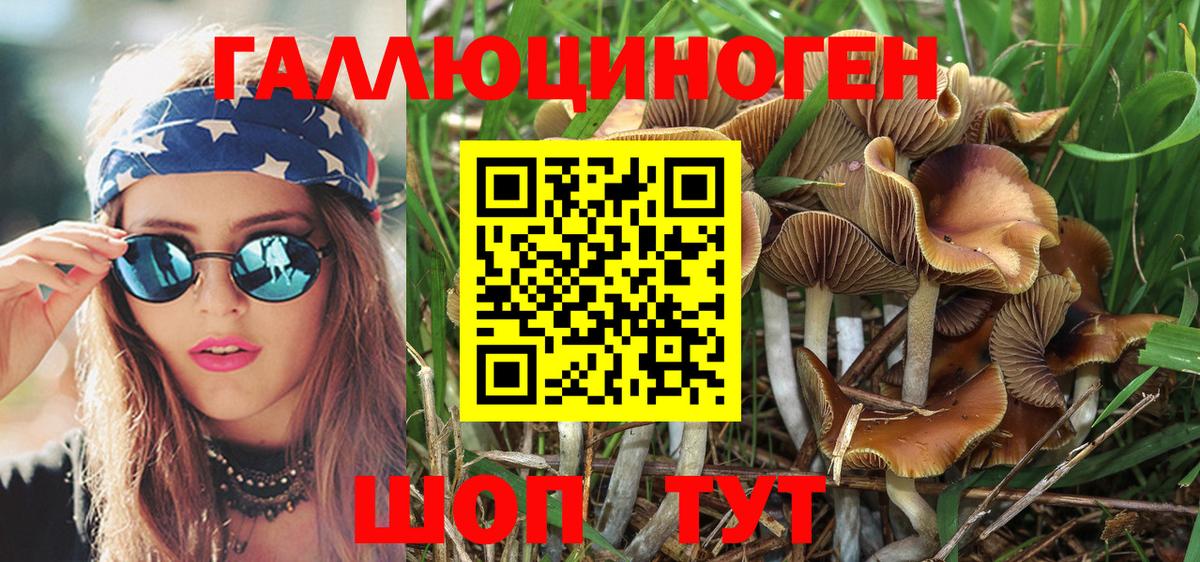 Галлюциногенные грибы Magic Shrooms  Вход с VPN  Кимовск 