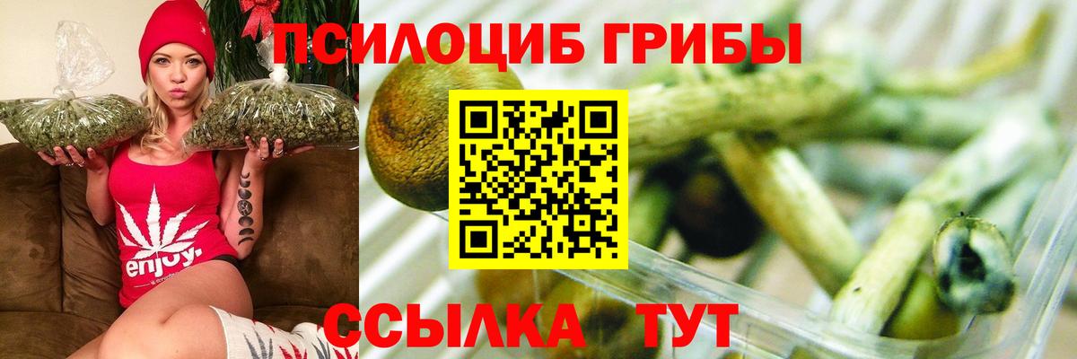 Псилоцибиновые грибы Magic Shrooms Кимовск